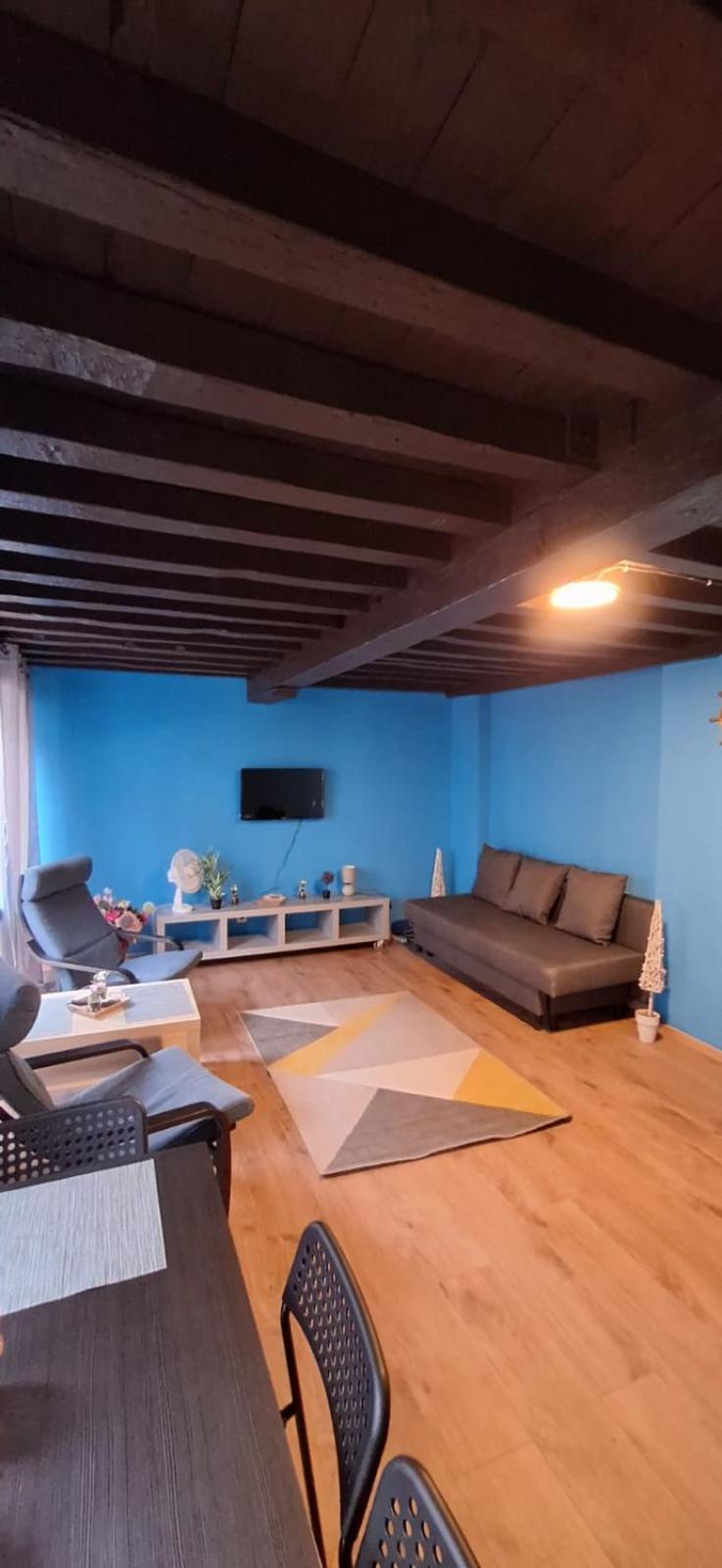 The 16Th Century 1Bd Ocean Apartment Antwerpen Eksteriør bilde